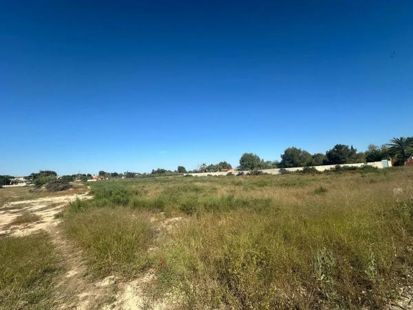 Terreno en Partida Matola