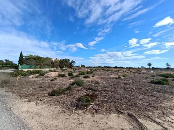 Terreno en Partida Perleta, 113