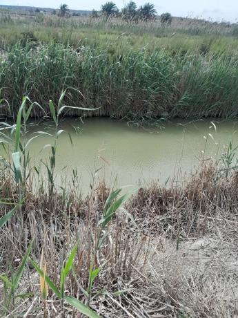 Terreno en via Sense Nom s/n