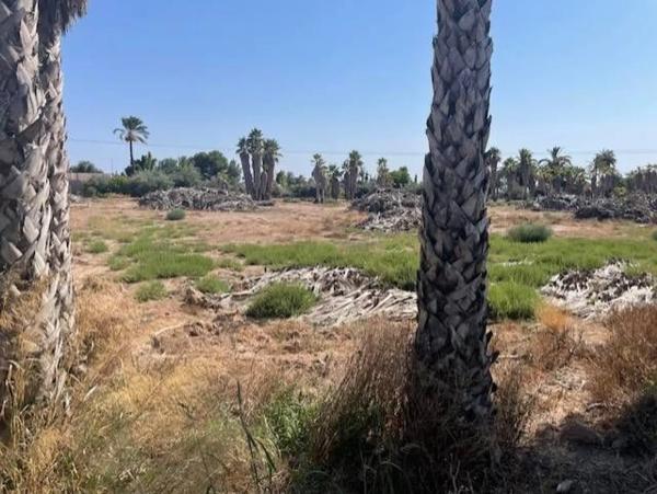 Terreno en Partida de Algoros