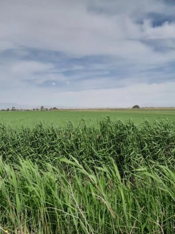 Terreno en via Sense Nom s/n