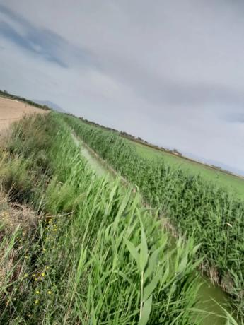 Terreno en via Sense Nom s/n