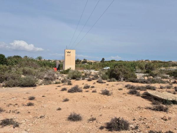 Terreno en camino dels Arenals