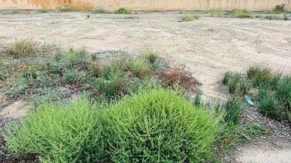 Terreno en La Hoya-Daimes-El Derramador