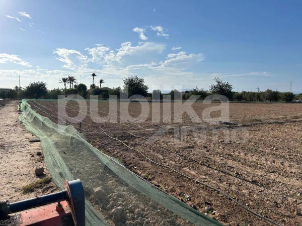 Terreno en camino de Redondo, 53