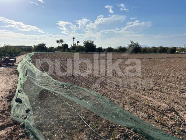 Terreno en camino de Redondo, 53