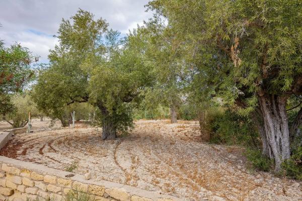 Terreno en Lugar Santa Ana