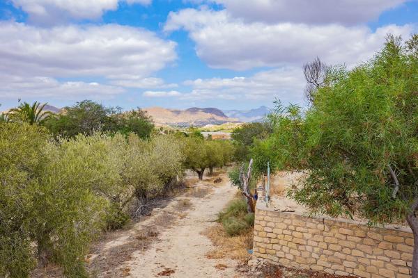 Terreno en Lugar Santa Ana