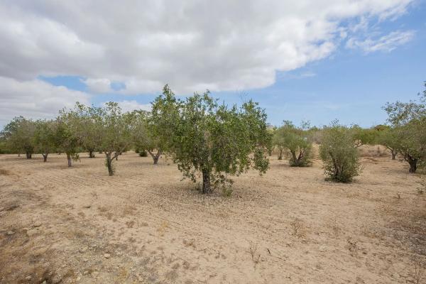 Terreno en Lugar Santa Ana