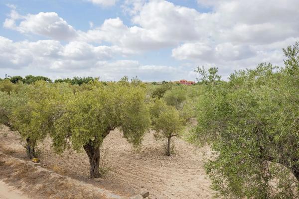 Terreno en Lugar Santa Ana