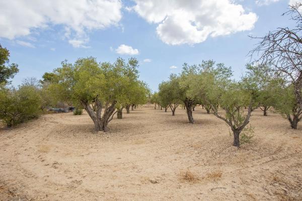 Terreno en Lugar Santa Ana