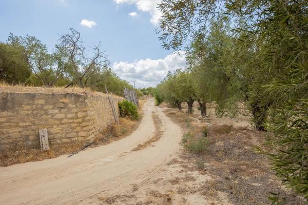 Terreno en Lugar Santa Ana