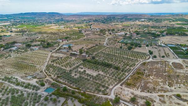 Terreno en Lugar Santa Ana