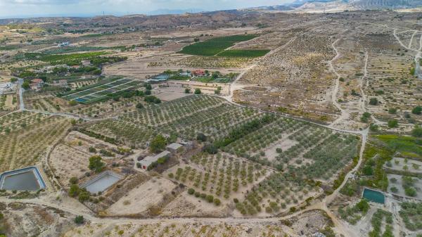 Terreno en Lugar Santa Ana