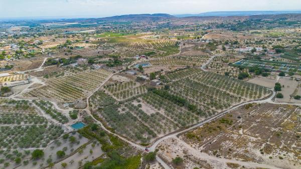 Terreno en Lugar Santa Ana