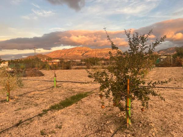 Terreno en Agost, 27