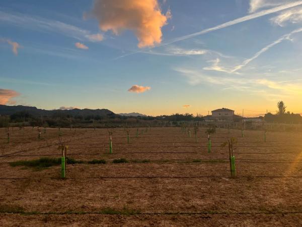 Terreno en Agost, 27