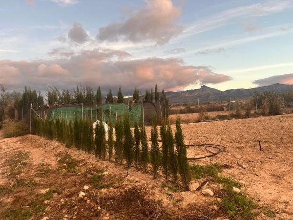 Terreno en Agost, 27