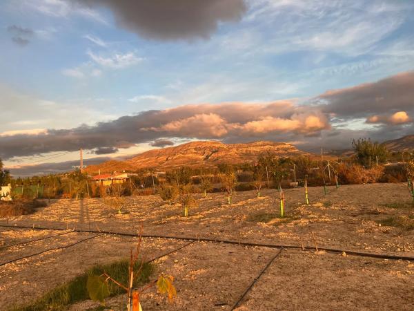 Terreno en Agost, 27