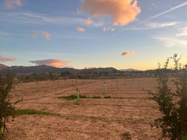 Terreno en Agost, 27