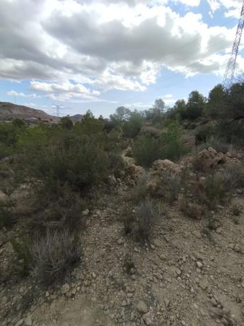 Terreno en camino Pla del Rocar s/n