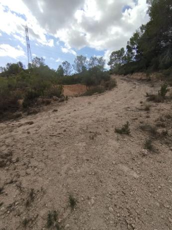 Terreno en camino Pla del Rocar s/n