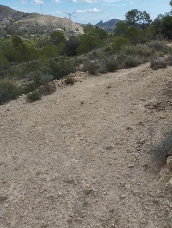 Terreno en camino Pla del Rocar s/n