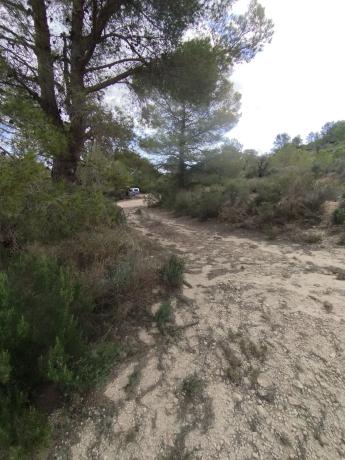 Terreno en camino Pla del Rocar s/n