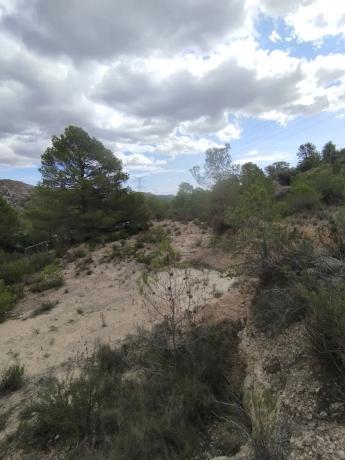 Terreno en camino Pla del Rocar s/n