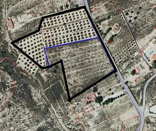 Terreno en camino de la Ermita del Salar, 136