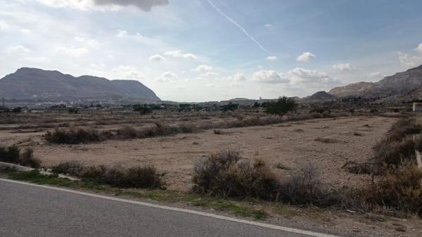 Terreno en camino de la Ermita del Salar, 136