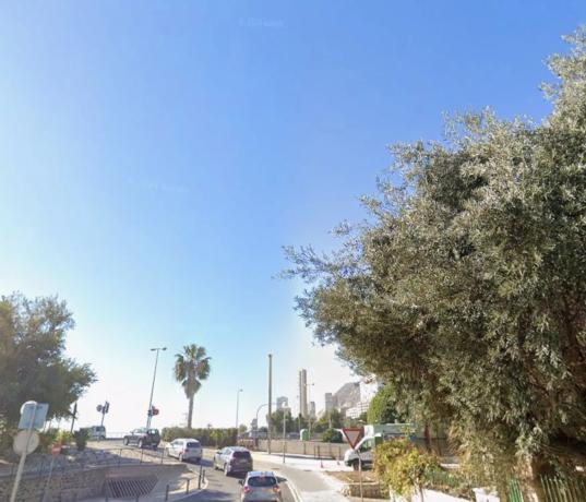 Terreno en camino Colonia Romana, 3