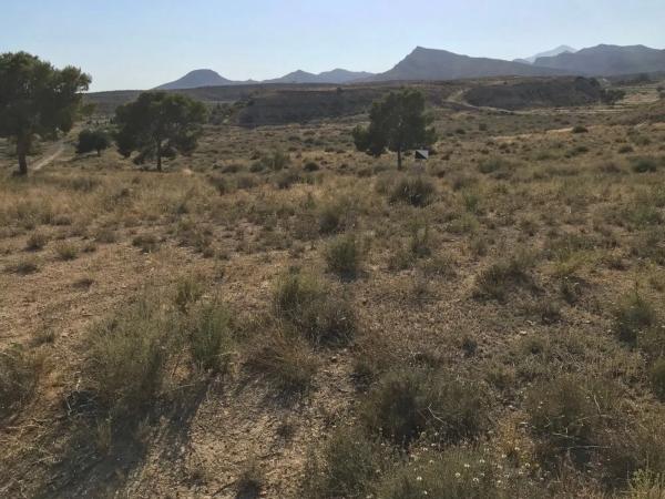 Terreno en calle Cala Blanca, 26