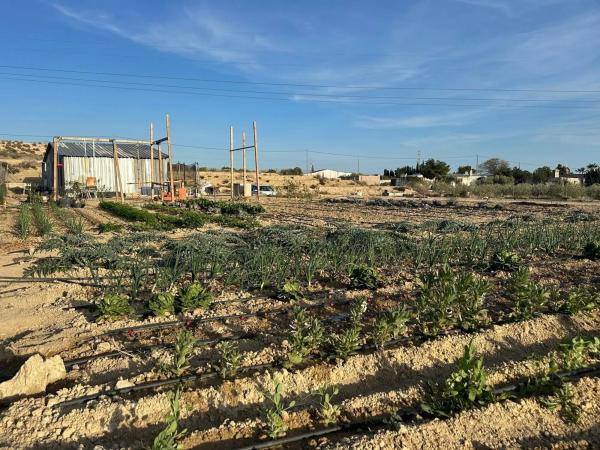 Terreno en Barrio Valle del Sol - El Portel