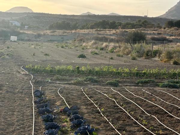 Terreno en Barrio Valle del Sol - El Portel