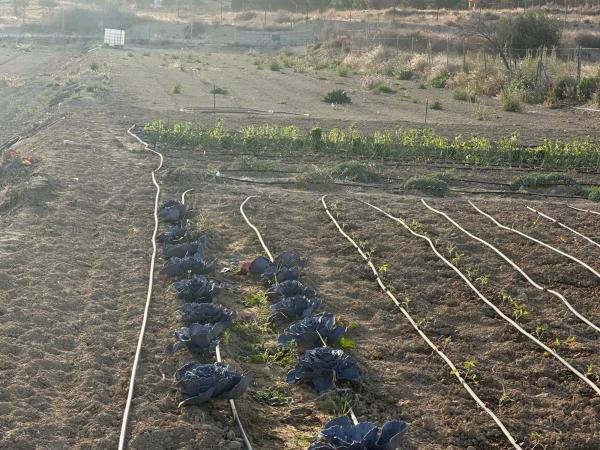 Terreno en Barrio Valle del Sol - El Portel