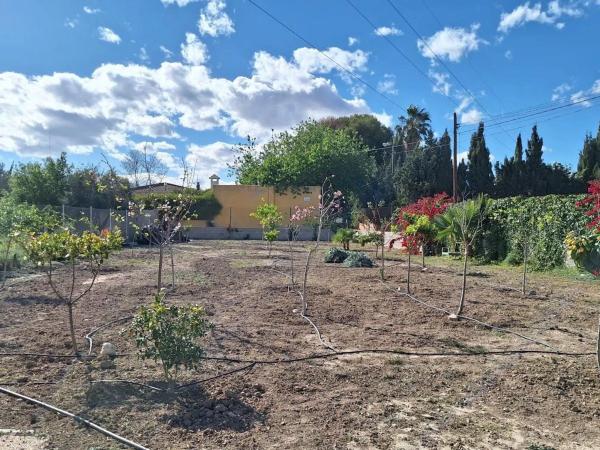 Terreno en calle Músico Rafael Segura g