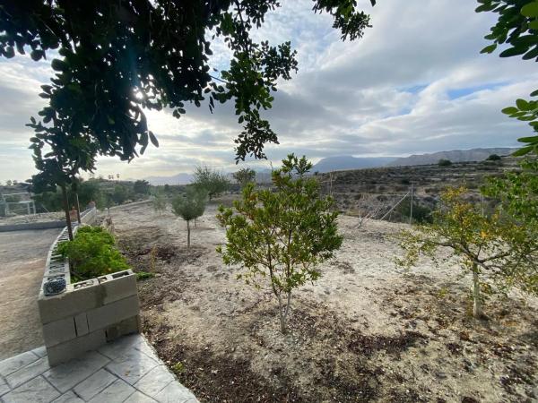 Terreno en carretera de Busot a Aigües