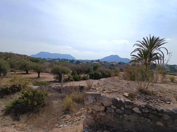 Terreno en Cañada del Fenollar