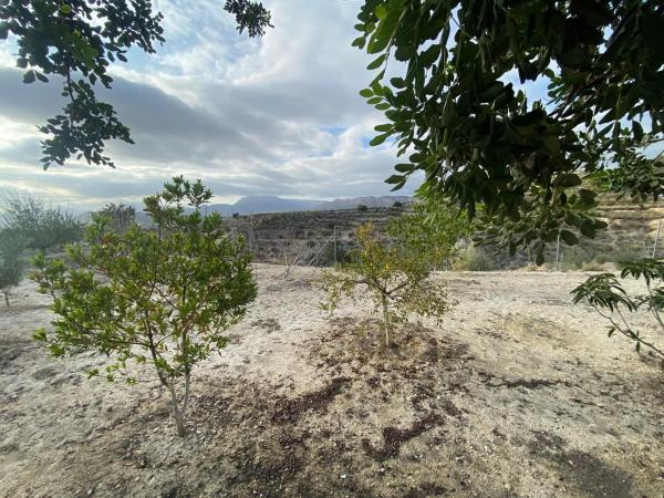 Terreno en carretera de Busot a Aigües