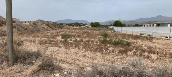 Terreno en carretera Alcoraya-Urbs s/n sn