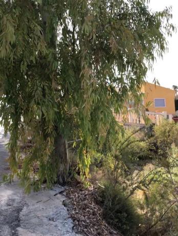 Terreno en Coveta Fumà, Calle Sagunt, 3