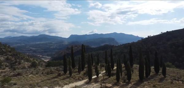 Terreno en Cv-810, 20