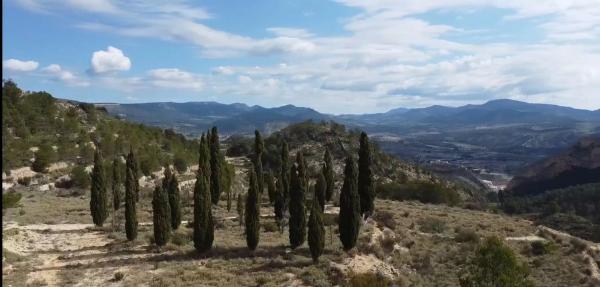 Terreno en Cv-810, 20