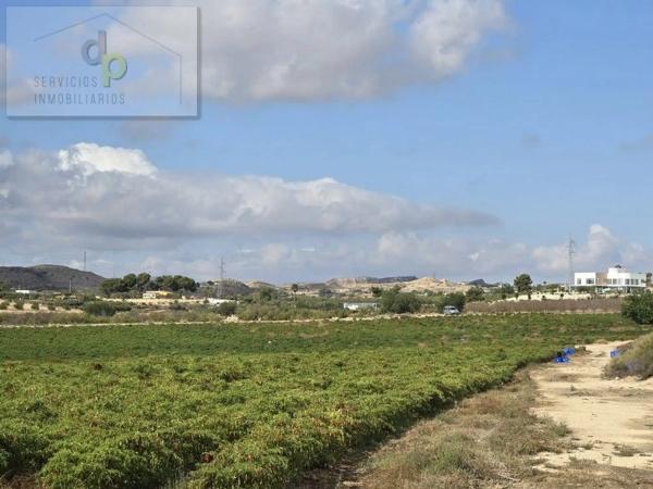 Terreno en camino del Barbunyo, 5