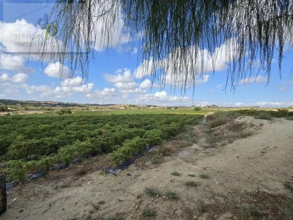 Terreno en camino del Barbunyo, 5