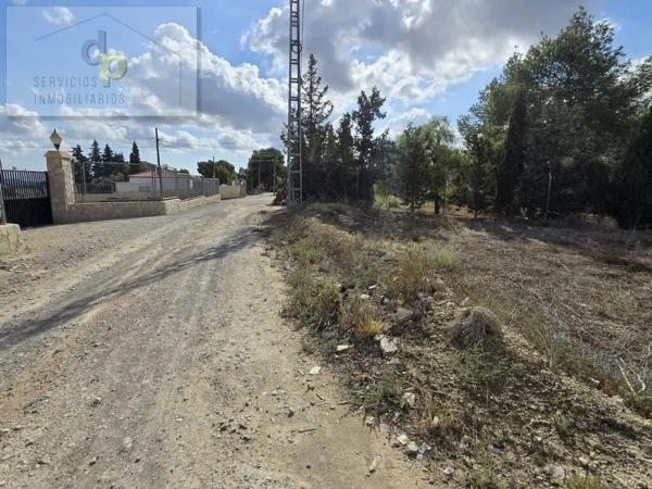 Terreno en camino del Barbunyo, 5