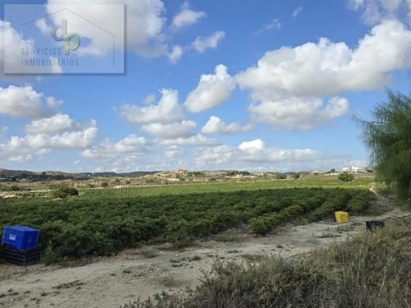 Terreno en camino del Barbunyo, 5