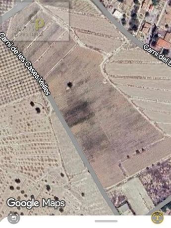 Terreno en camino del Barbunyo, 5