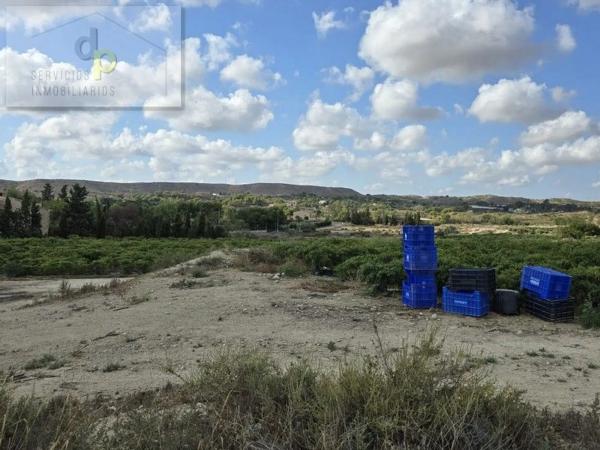 Terreno en camino del Barbunyo, 5